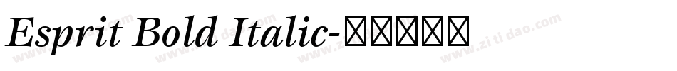 Esprit Bold Italic字体转换